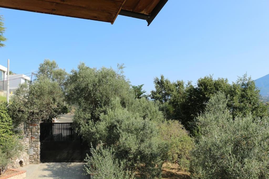 Private Hillside Villa Near Teg Full Privacy Tirana Esterno foto