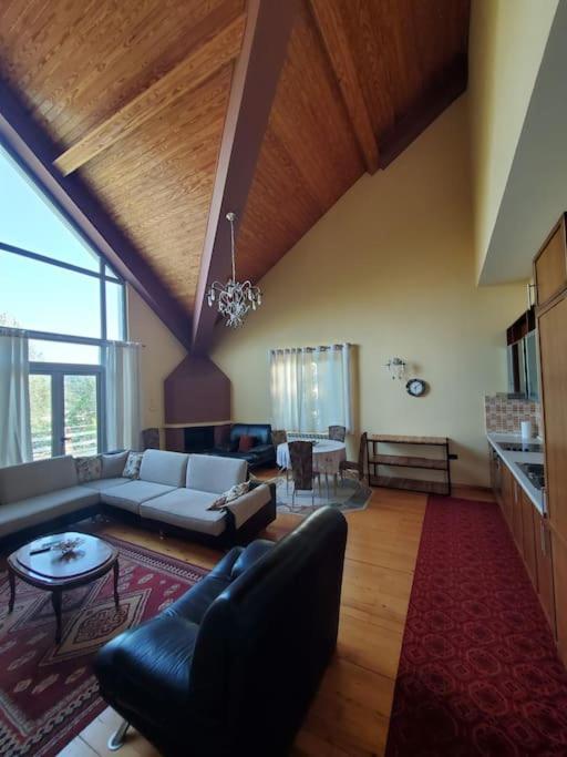 Private Hillside Villa Near Teg Full Privacy Tirana Esterno foto