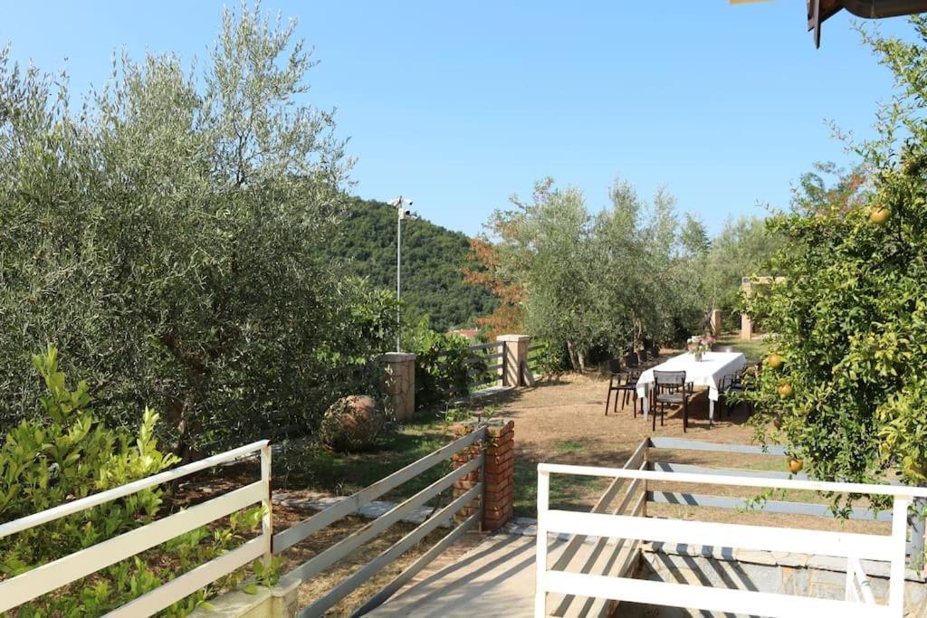 Private Hillside Villa Near Teg Full Privacy Tirana Esterno foto